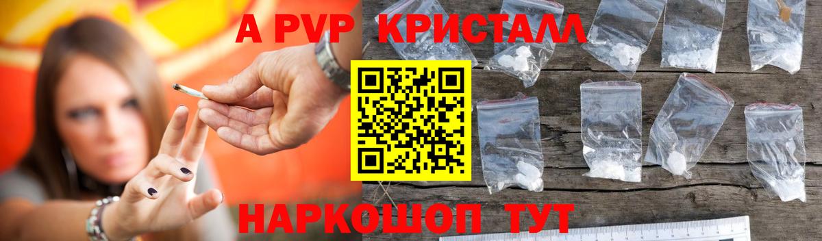 A PVP СК КРИС Светлоград