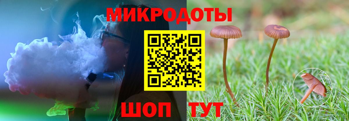Псилоцибиновые грибы GOLDEN TEACHER  Вход с VPN  Светлоград 